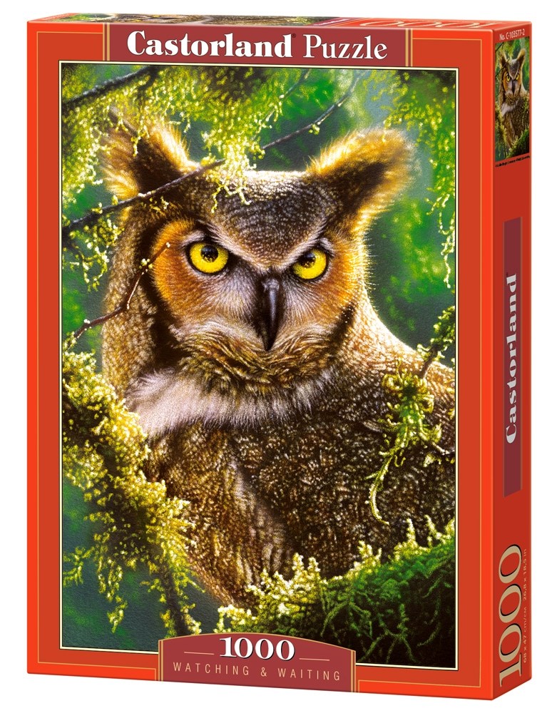 EuroGraphics Birds of Prey and Owls Puzzle 1000-Piece